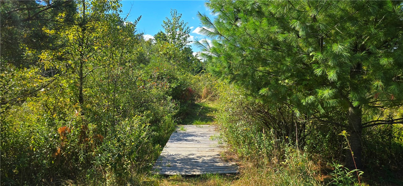 1290 Ayres Road Gillett, PA 16925 - Photo 41 of 50