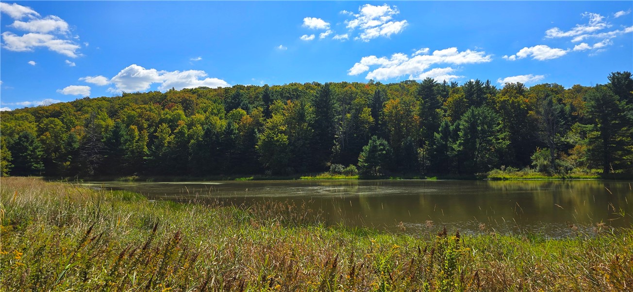 1290 Ayres Road Gillett, PA 16925 - Photo 43 of 50