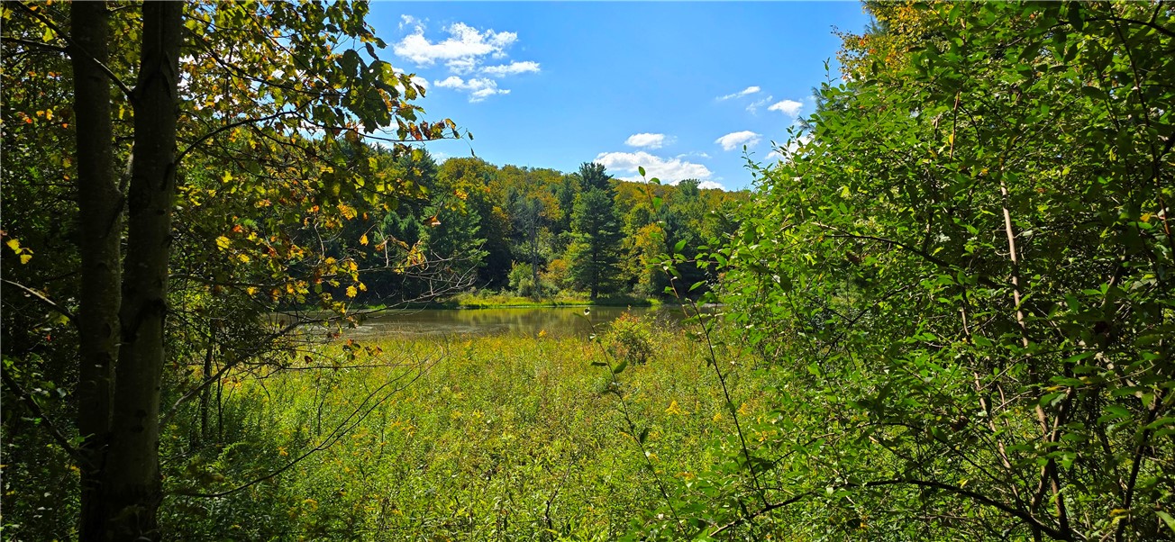 1290 Ayres Road Gillett, PA 16925 - Photo 47 of 50