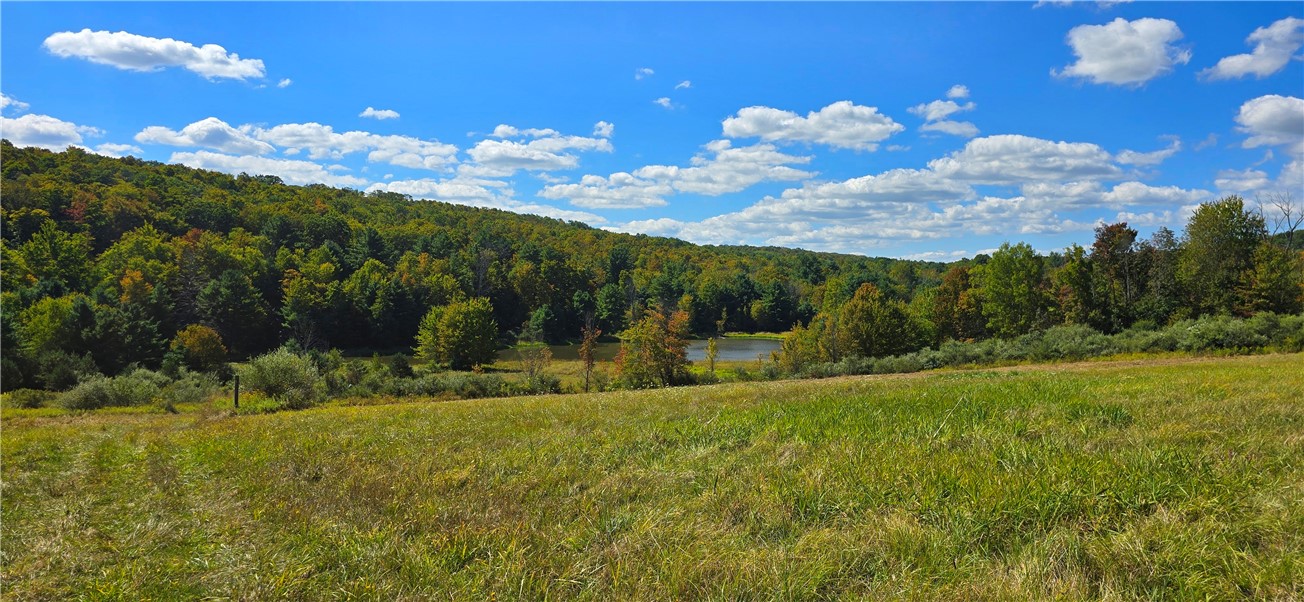 1290 Ayres Road Gillett, PA 16925 - Photo 49 of 50