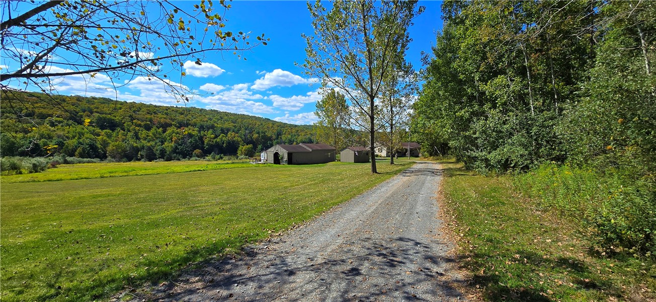 1290 Ayres Road Gillett, PA 16925 - Photo 7 of 50