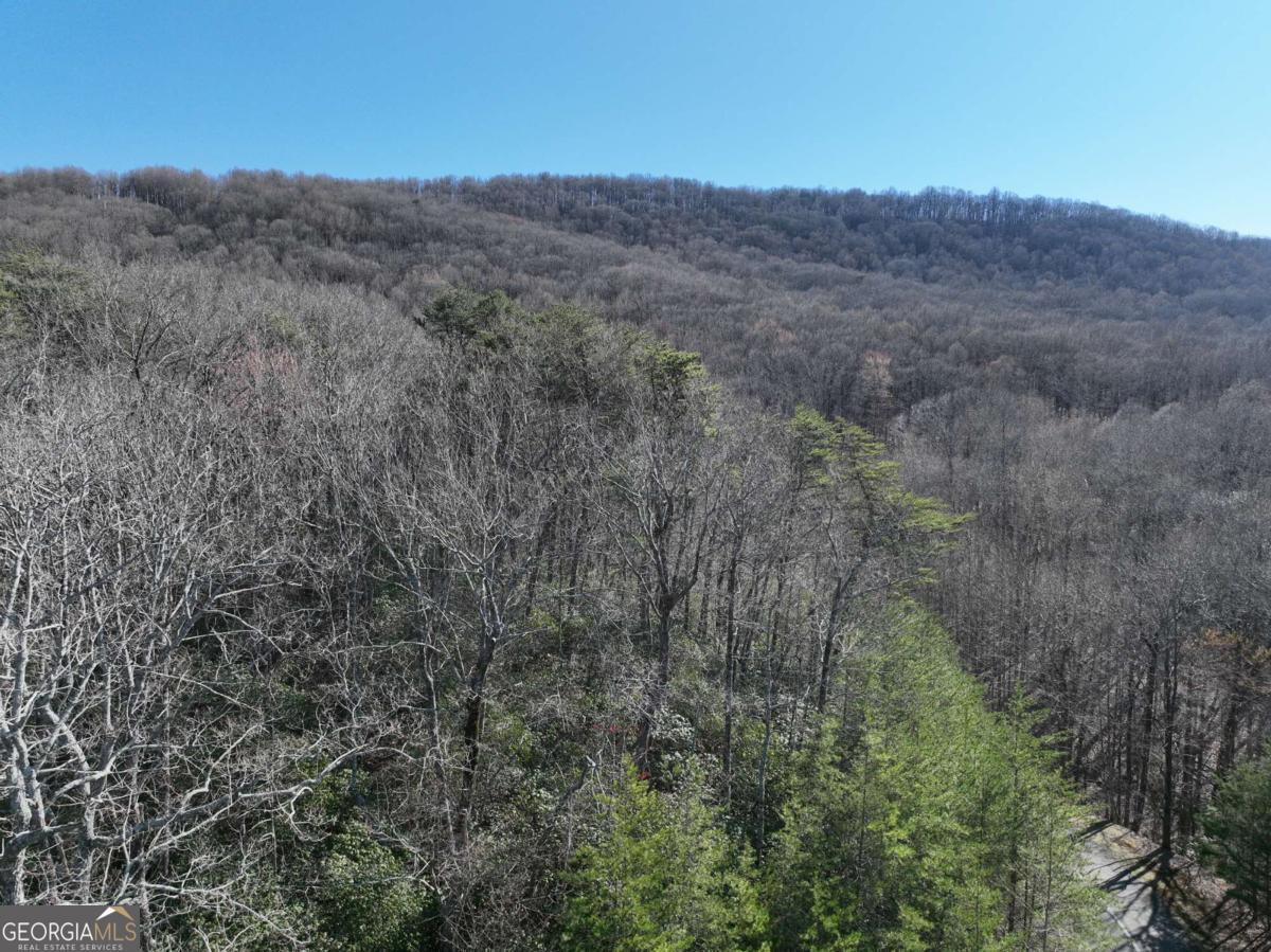 65 St. Andrews Way Jasper, GA 30143 - Photo 13 of 33