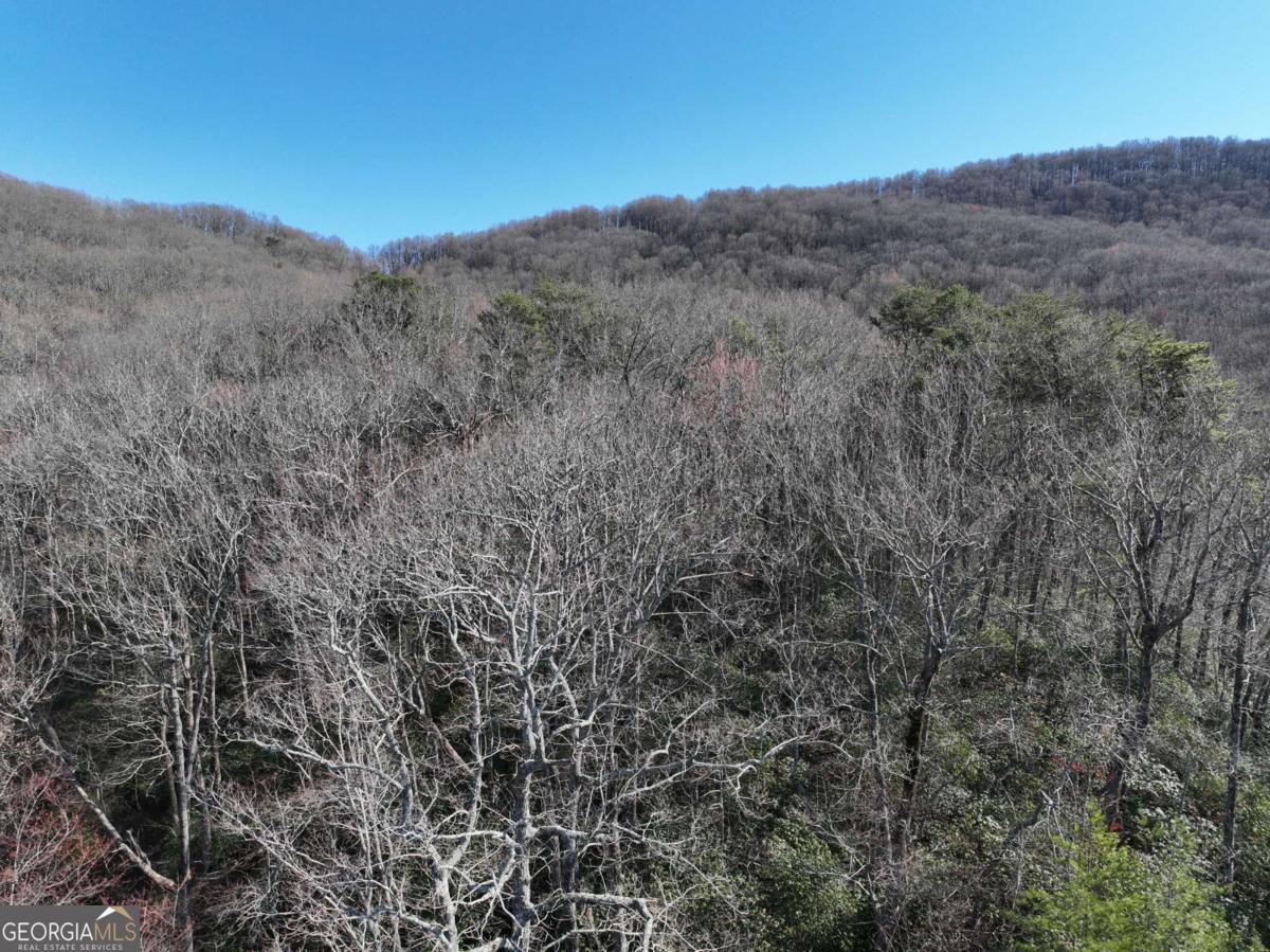 65 St. Andrews Way Jasper, GA 30143 - Photo 14 of 33