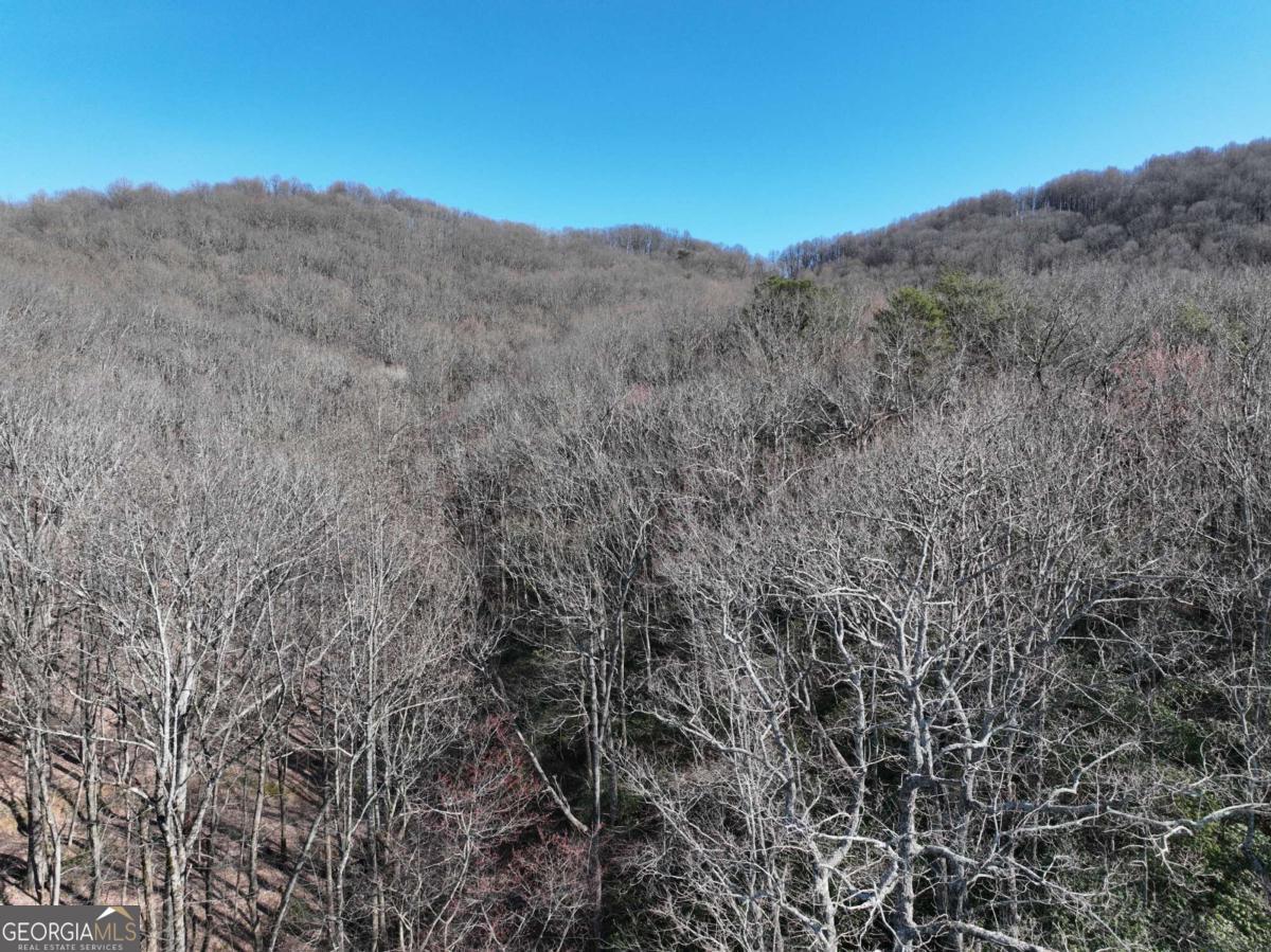 65 St. Andrews Way Jasper, GA 30143 - Photo 15 of 33