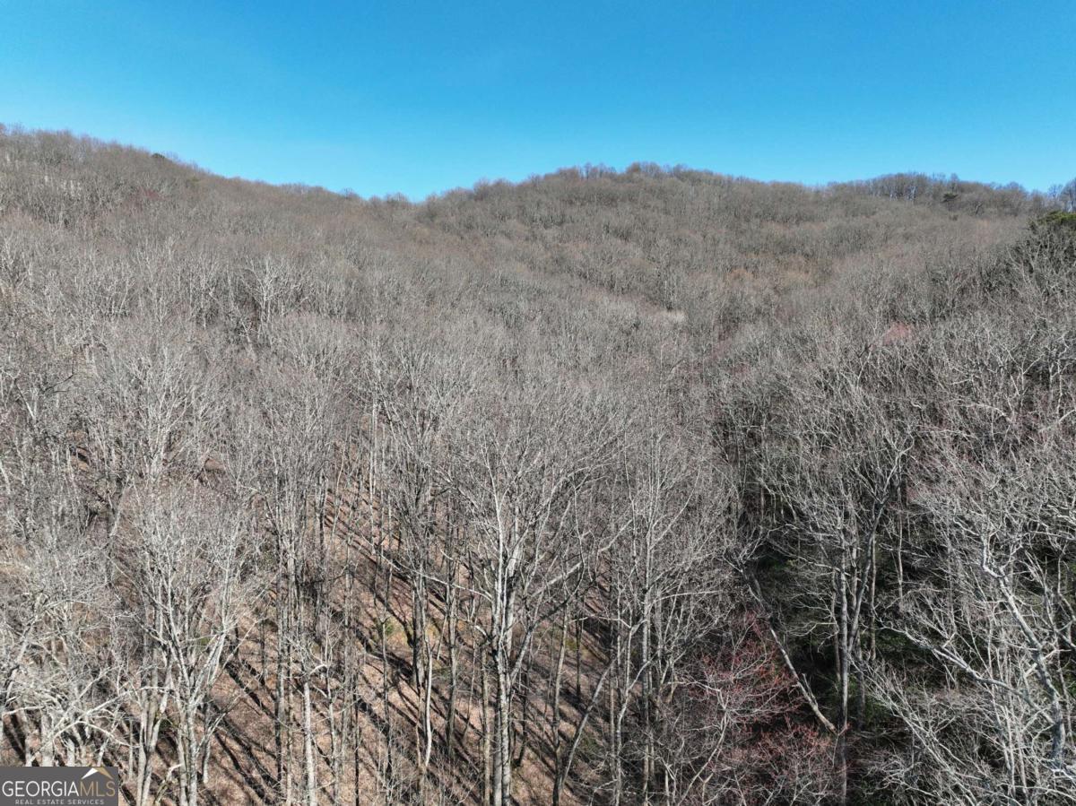 65 St. Andrews Way Jasper, GA 30143 - Photo 16 of 33