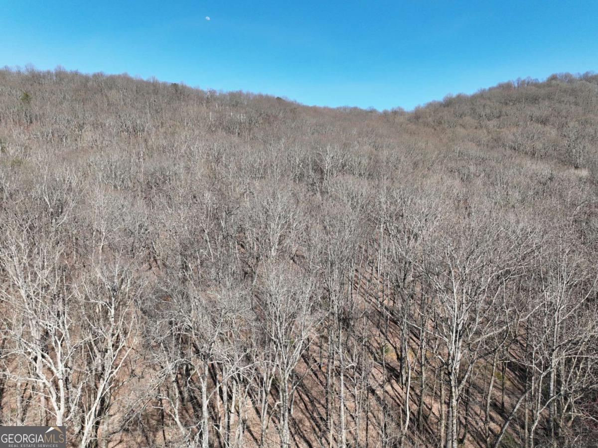 65 St. Andrews Way Jasper, GA 30143 - Photo 17 of 33