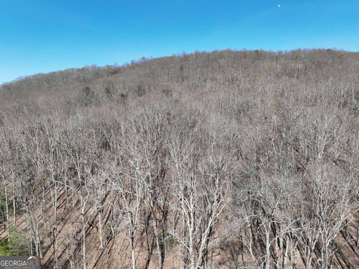 65 St. Andrews Way Jasper, GA 30143 - Photo 18 of 33