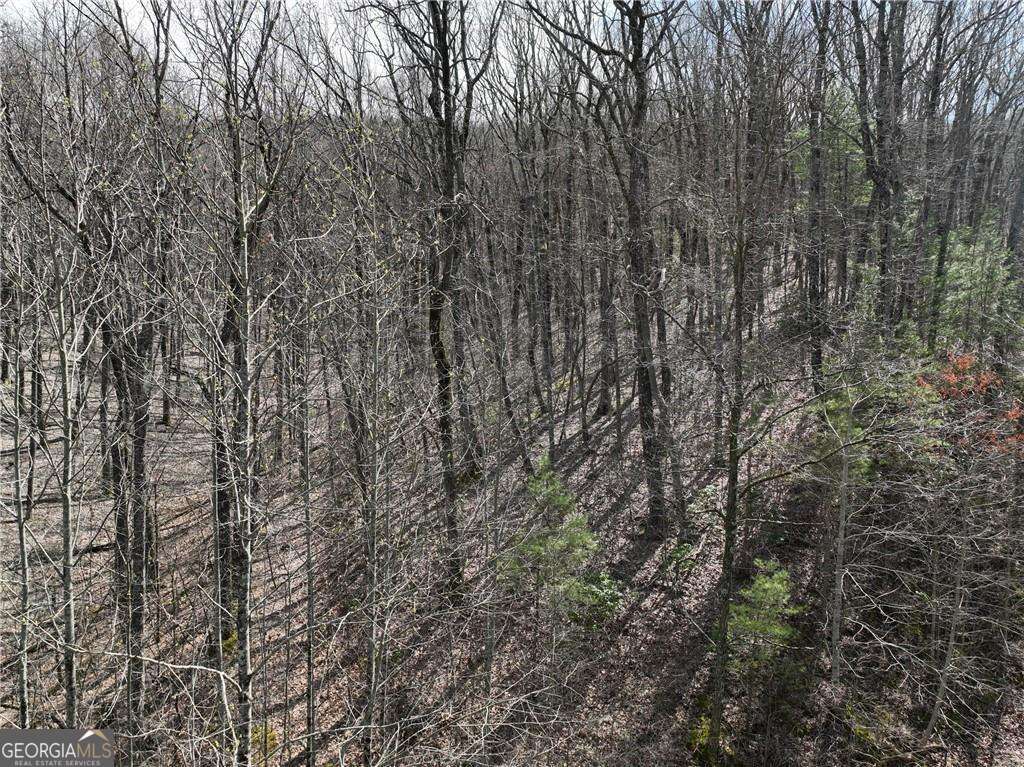 65 St. Andrews Way Jasper, GA 30143 - Photo 20 of 33