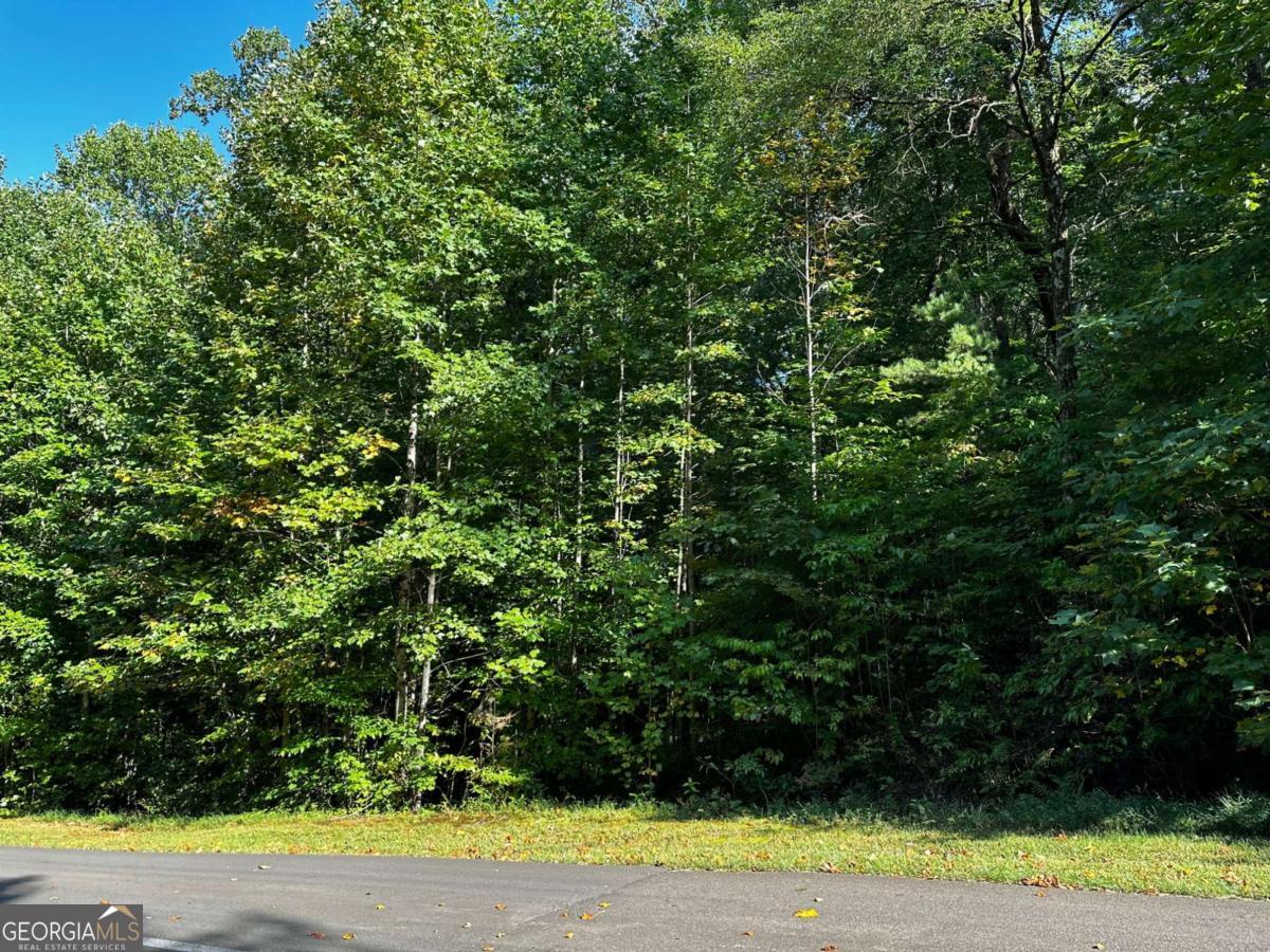 65 St. Andrews Way Jasper, GA 30143 - Photo 24 of 33