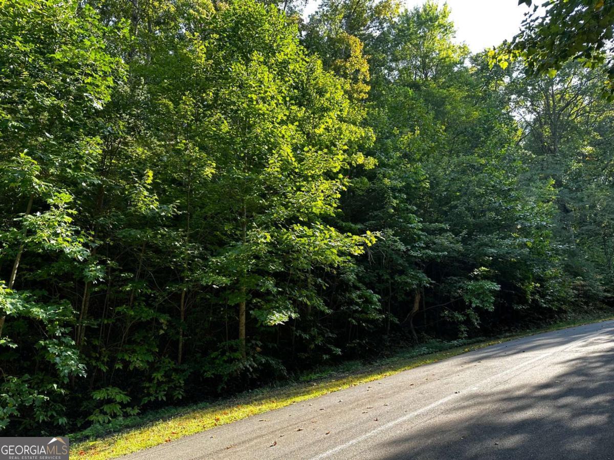 65 St. Andrews Way Jasper, GA 30143 - Photo 26 of 33