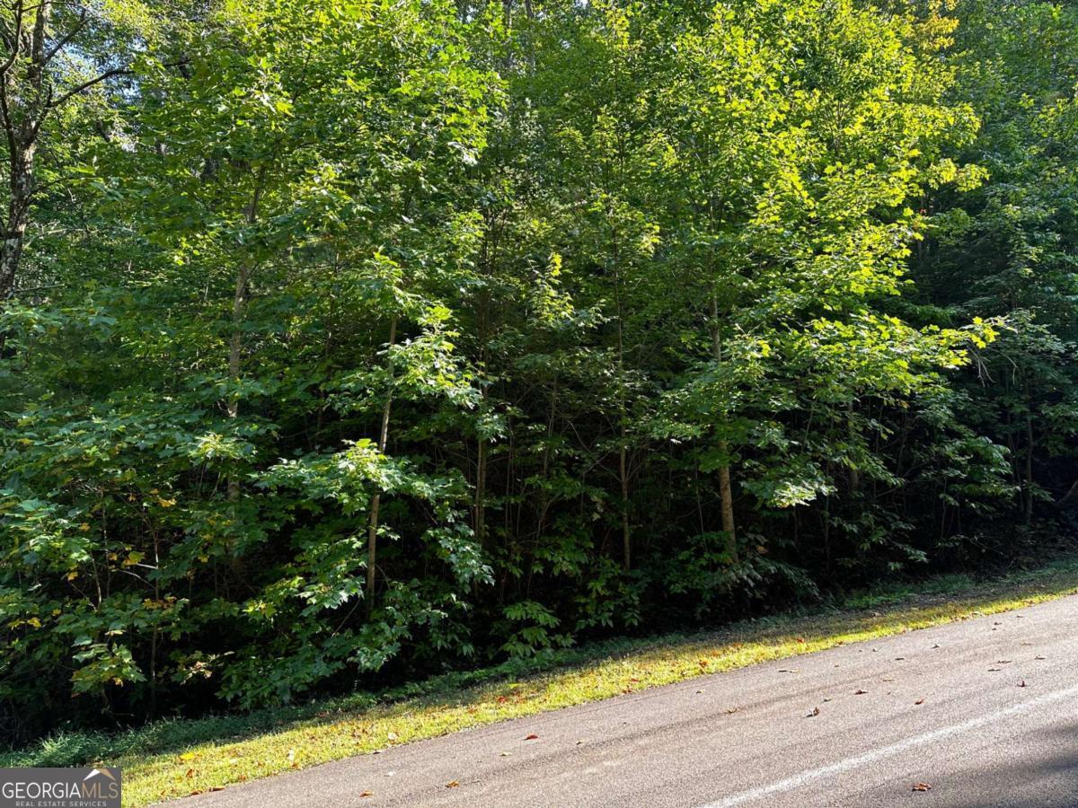 65 St. Andrews Way Jasper, GA 30143 - Photo 27 of 33