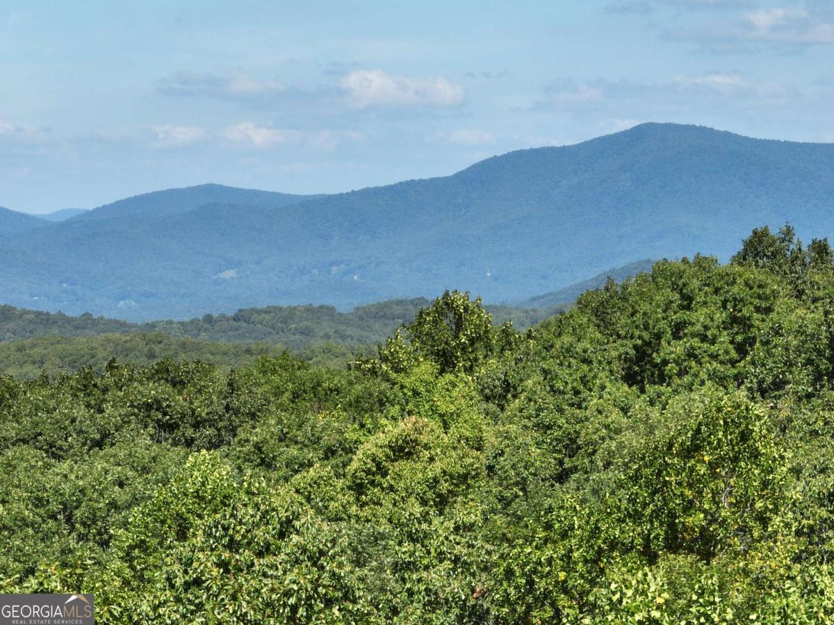 65 St. Andrews Way Jasper, GA 30143 - Photo 28 of 33