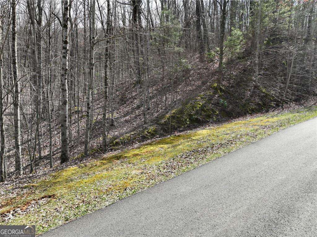 65 St. Andrews Way Jasper, GA 30143 - Photo 4 of 33