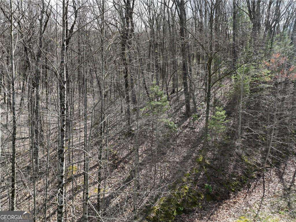 65 St. Andrews Way Jasper, GA 30143 - Photo 6 of 33