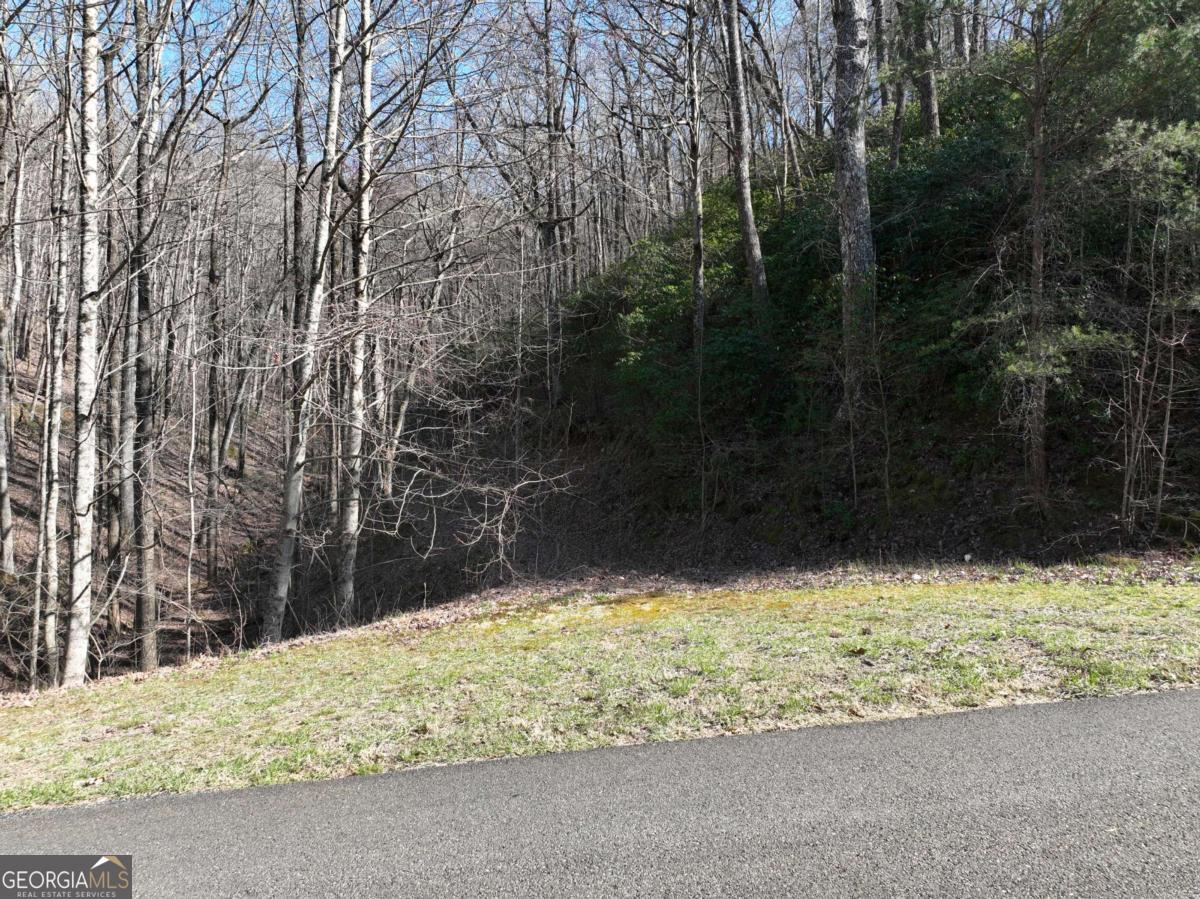 65 St. Andrews Way Jasper, GA 30143 - Photo 8 of 33