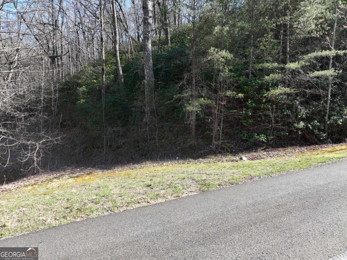 65 St. Andrews Way Jasper, GA 30143 - Photo 9 of 33