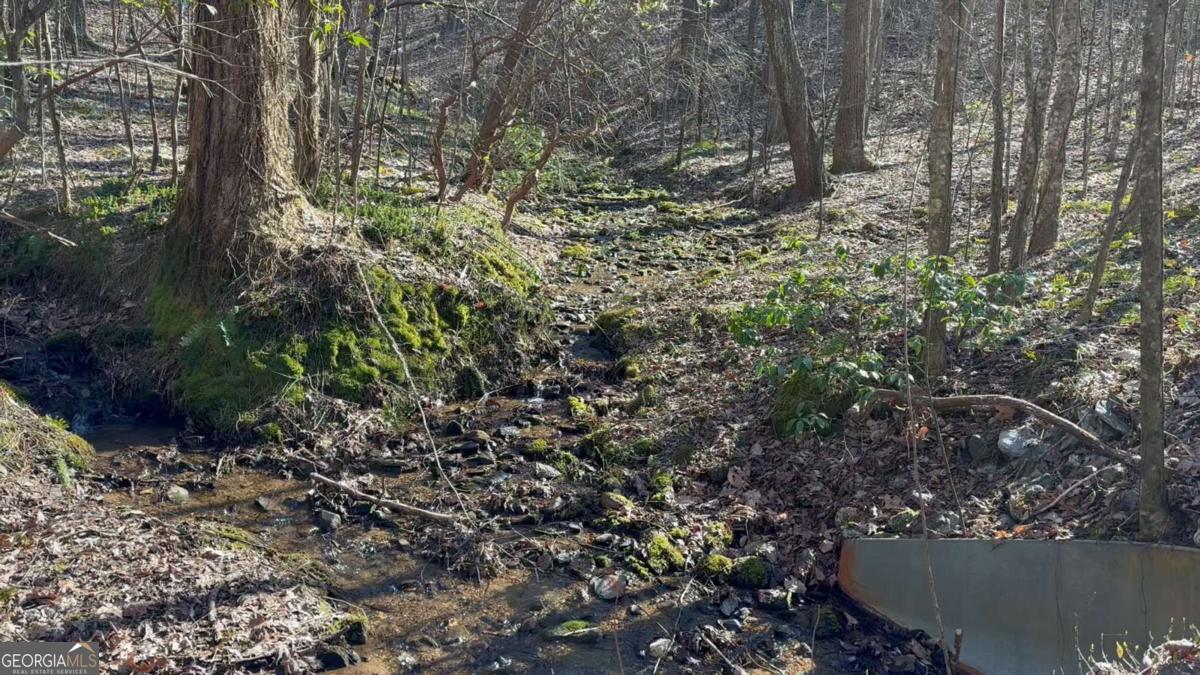 65 St. Andrews Way Jasper, GA 30143 - Photo 10 of 33