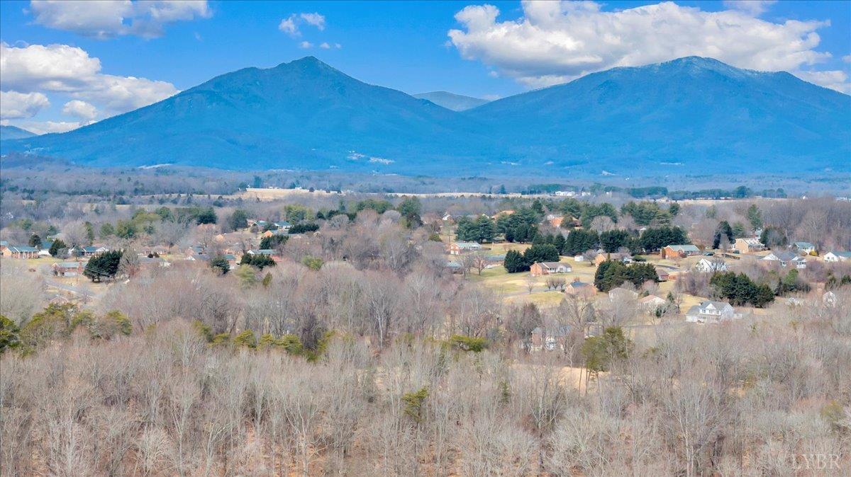 0 Clearview Road Bedford, VA 24523 - Photo 2 of 33 a view of a city