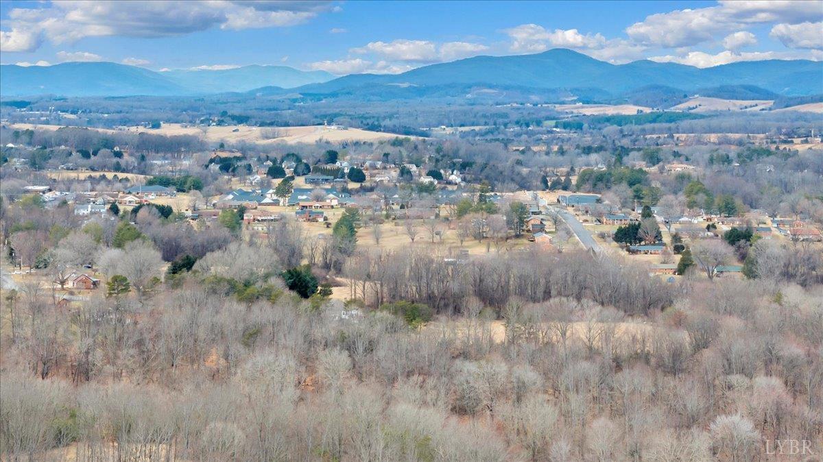 0 Clearview Road Bedford, VA 24523 - Photo 27 of 33 a view of a city