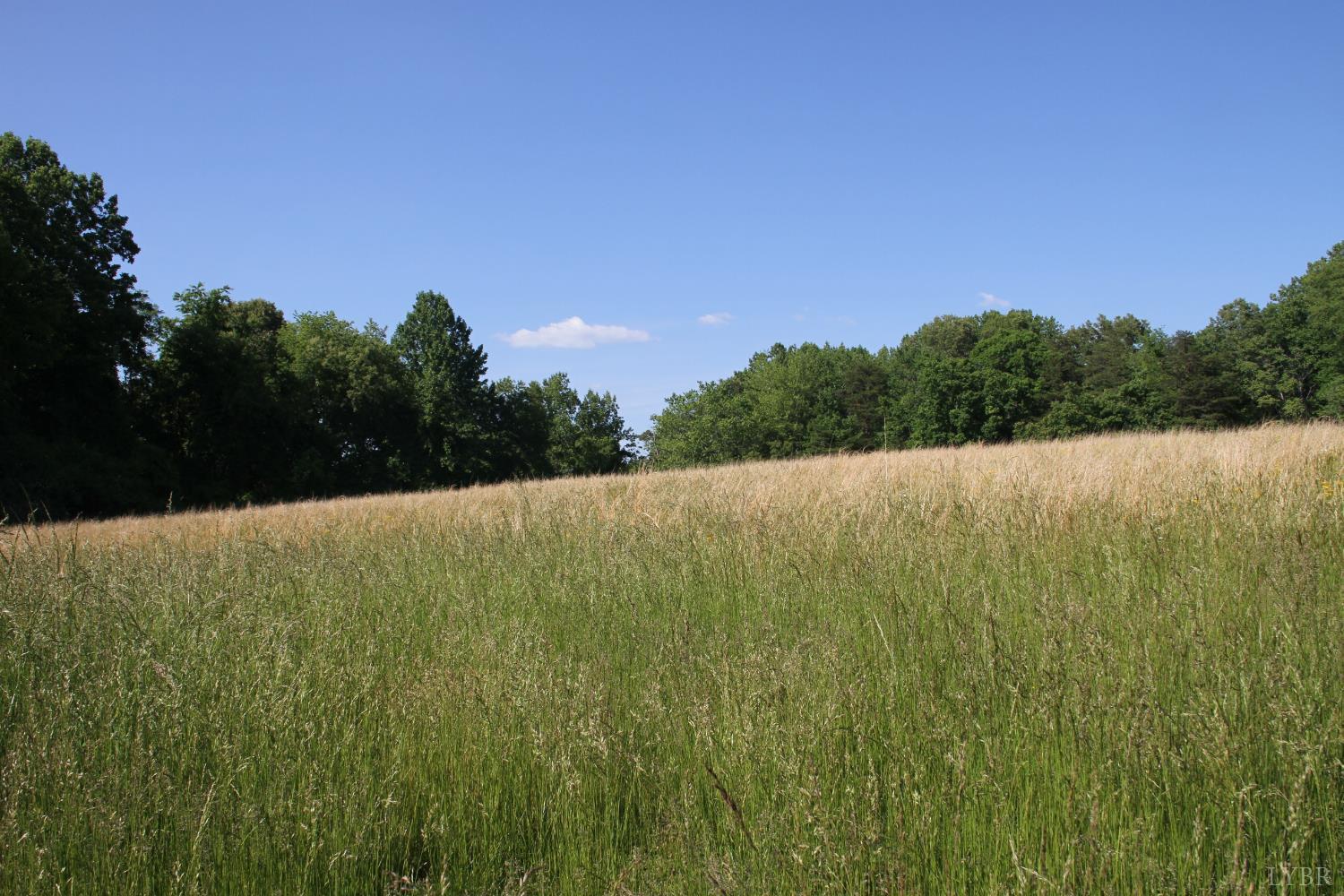 0 Clearview Road Bedford, VA 24523 - Photo 31 of 33 a view of a field with an ocean in the background
