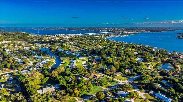 a picture of flowers