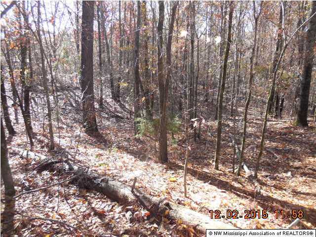 0 Flag Lake Road Sarah, MS 38665 - Photo 3 of 3 Additional Photo