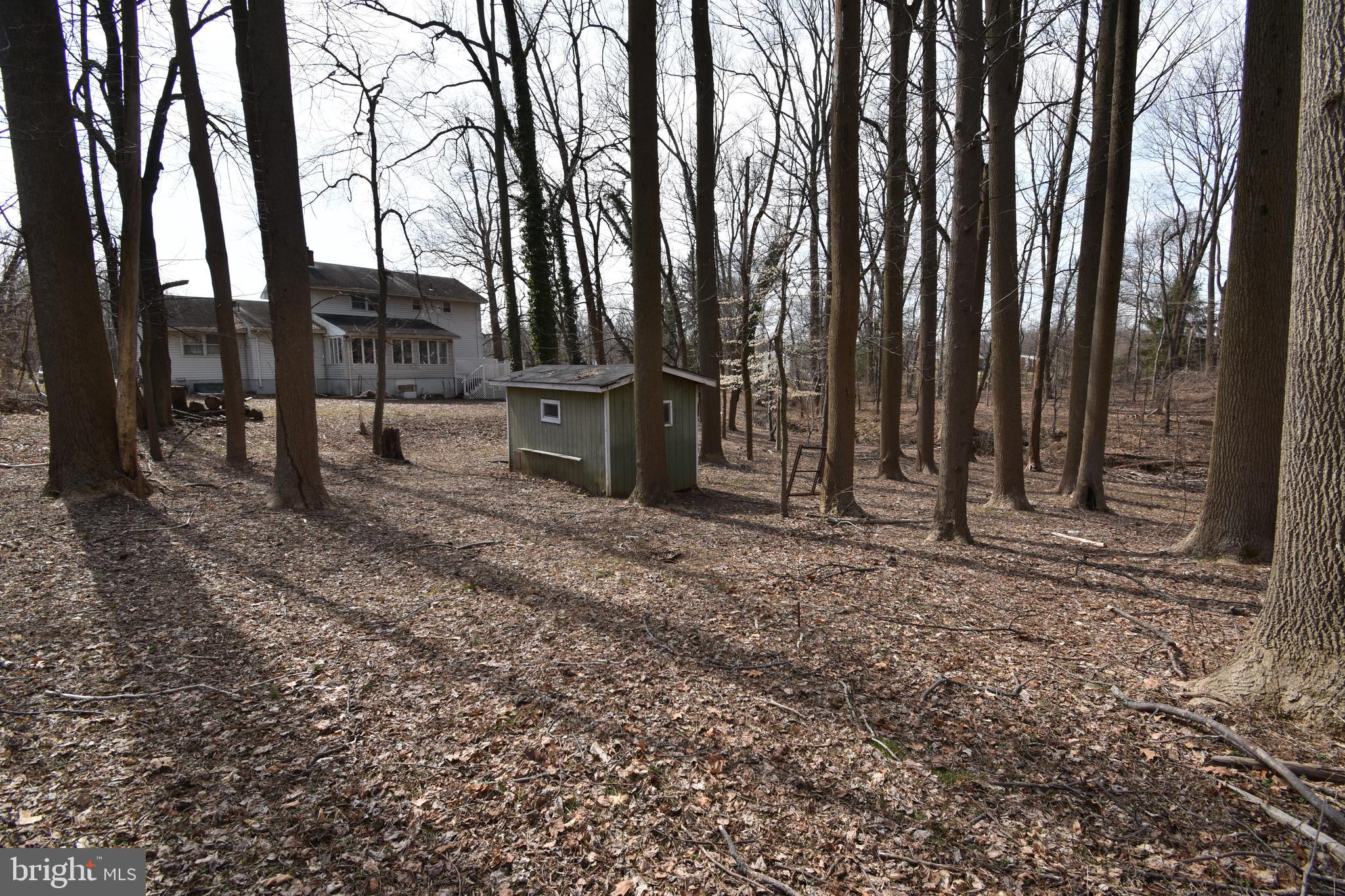 1271 Old York Road Burlington, NJ 08016 - Photo 14 of 17 a view of a backyard with large trees
