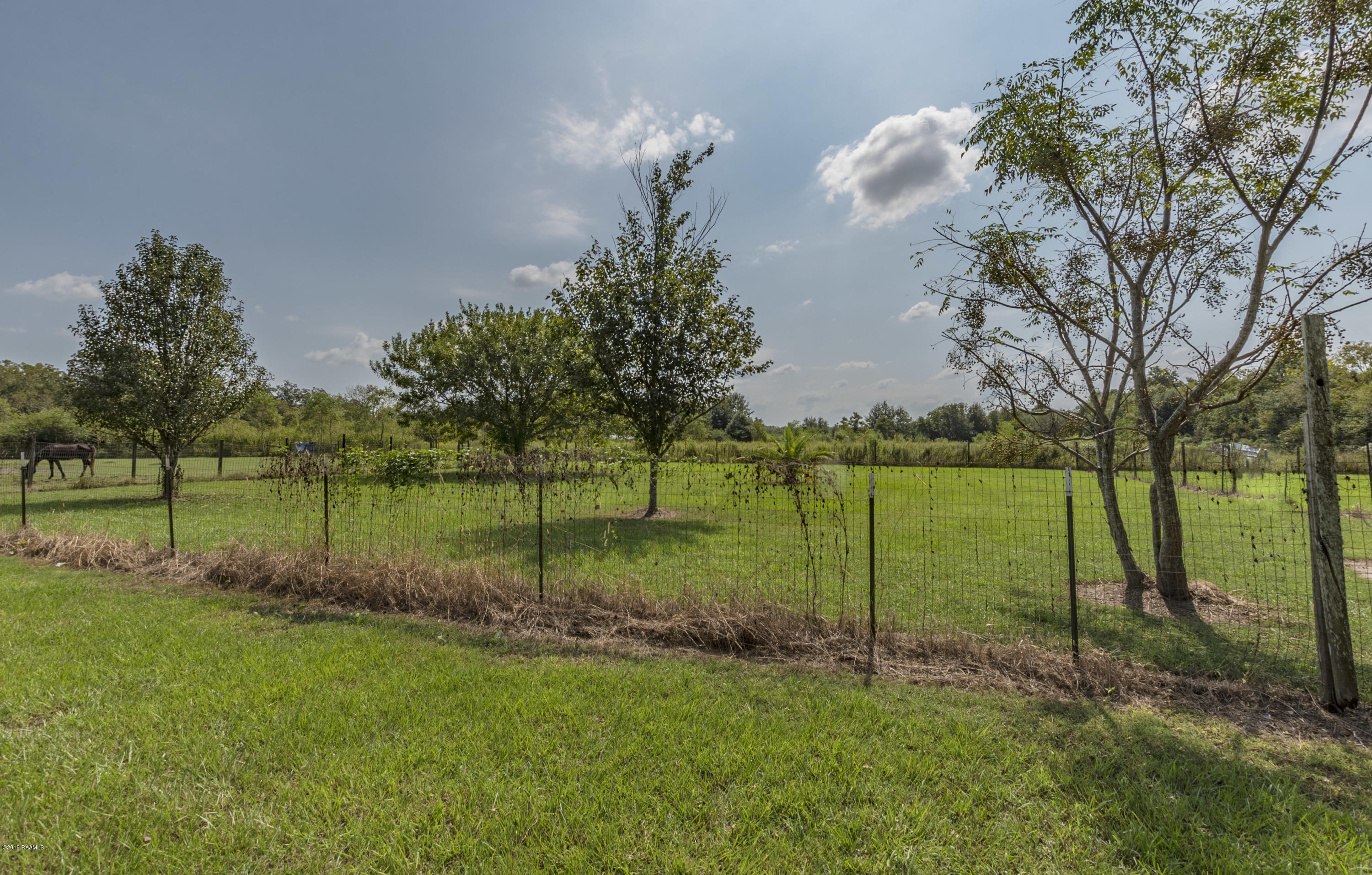 935 Toby Mouton Road Duson, LA 70529 - Photo 37 of 40 Back Yard 1
