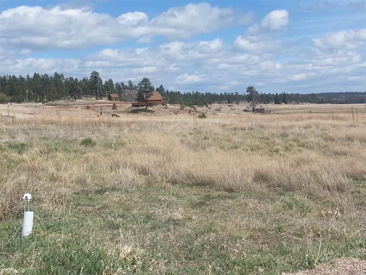 2140 Alpine Az 85920 Alpine, AZ 85920 - Photo 12 of 15