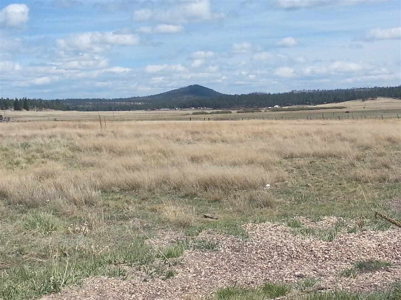 2140 Alpine Az 85920 Alpine, AZ 85920 - Photo 13 of 15