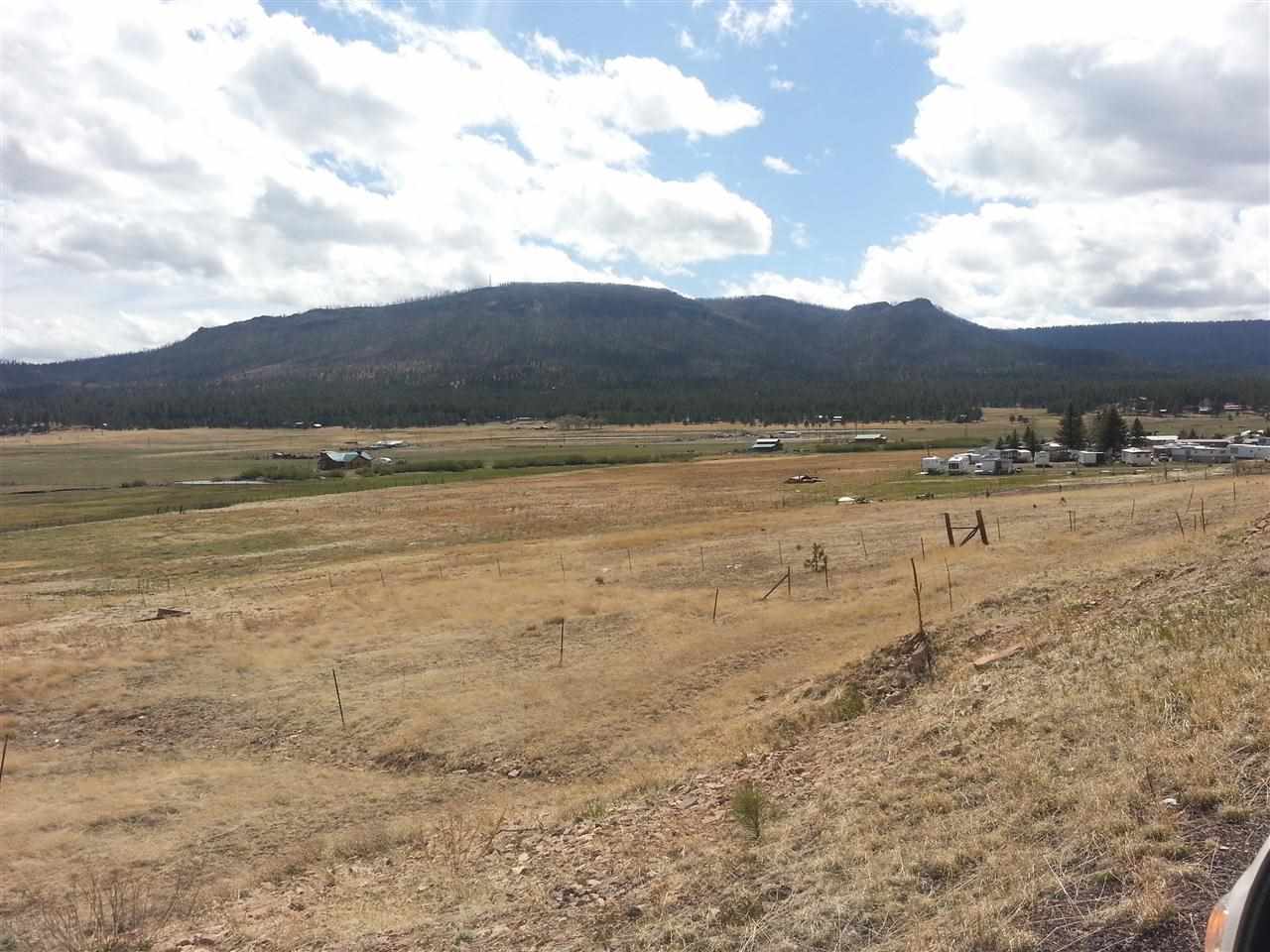 2140 Alpine Az 85920 Alpine, AZ 85920 - Photo 14 of 15