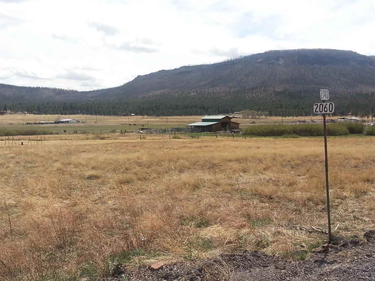 2140 Alpine Az 85920 Alpine, AZ 85920 - Photo 2 of 15