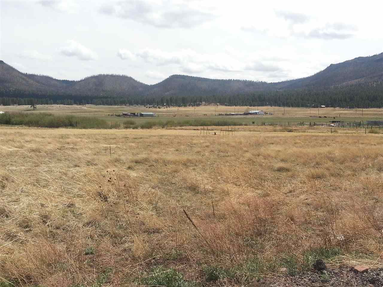 2140 Alpine Az 85920 Alpine, AZ 85920 - Photo 3 of 15