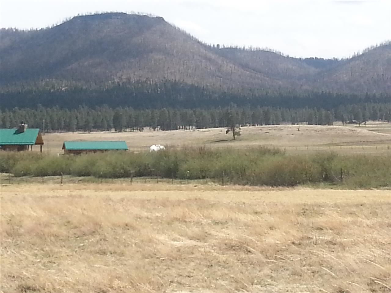 2140 Alpine Az 85920 Alpine, AZ 85920 - Photo 5 of 15