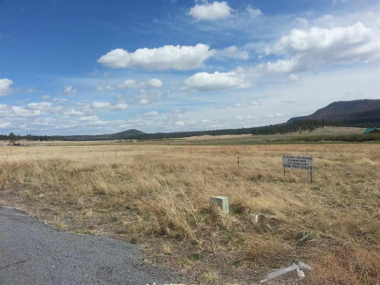 2140 Alpine Az 85920 Alpine, AZ 85920 - Photo 6 of 15