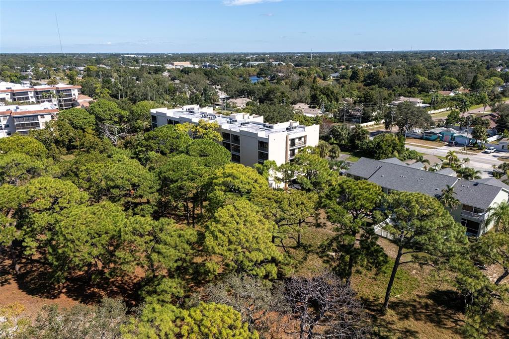 305 Tarpon Point Tarpon Springs, FL 34689 - Photo 33 of 42