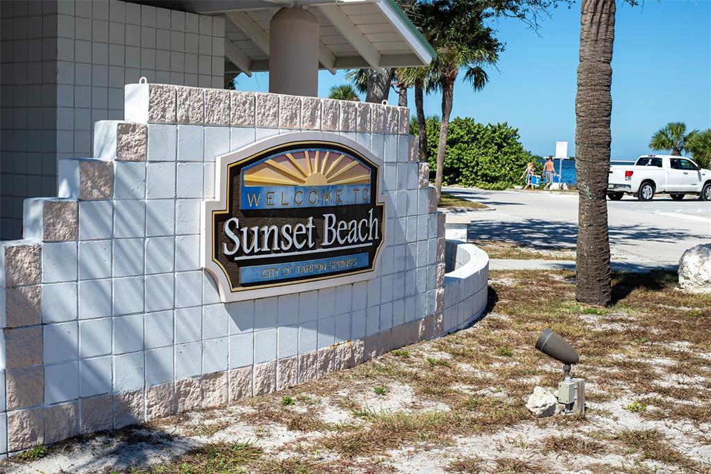 305 Tarpon Point Tarpon Springs, FL 34689 - Photo 37 of 42