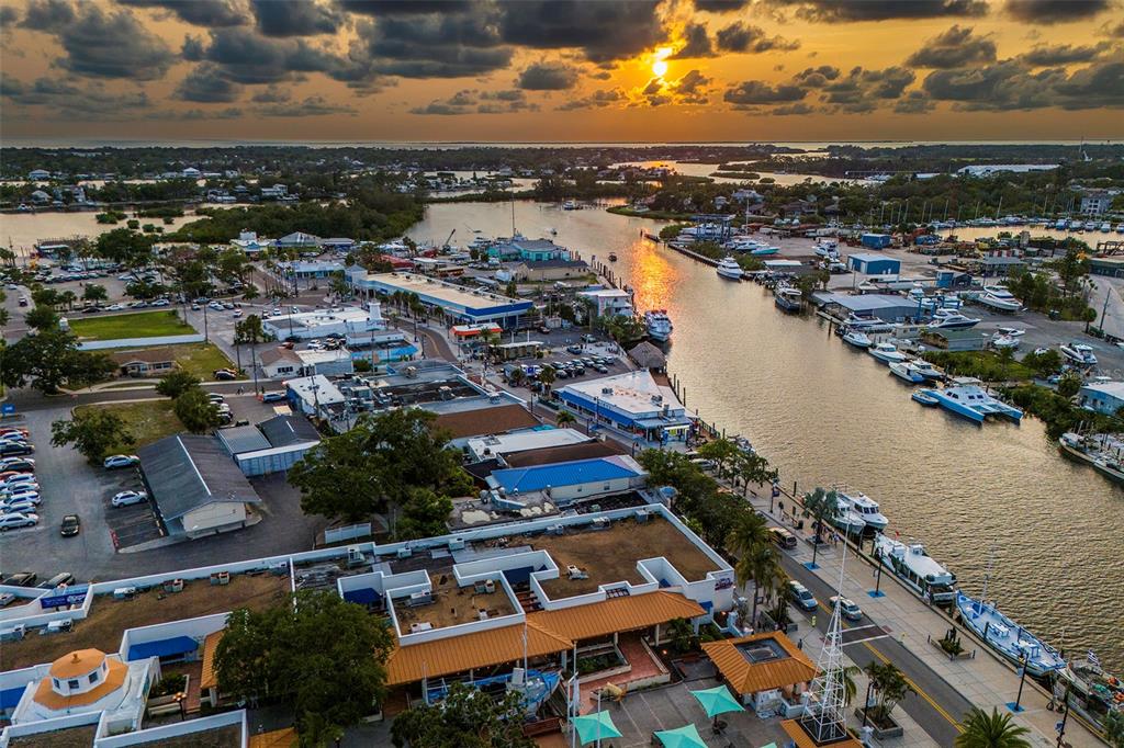 305 Tarpon Point Tarpon Springs, FL 34689 - Photo 40 of 42