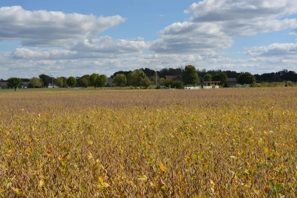 $65,900 | Lot 12 Sommerset Spring Green, Spring Green, WI 53588