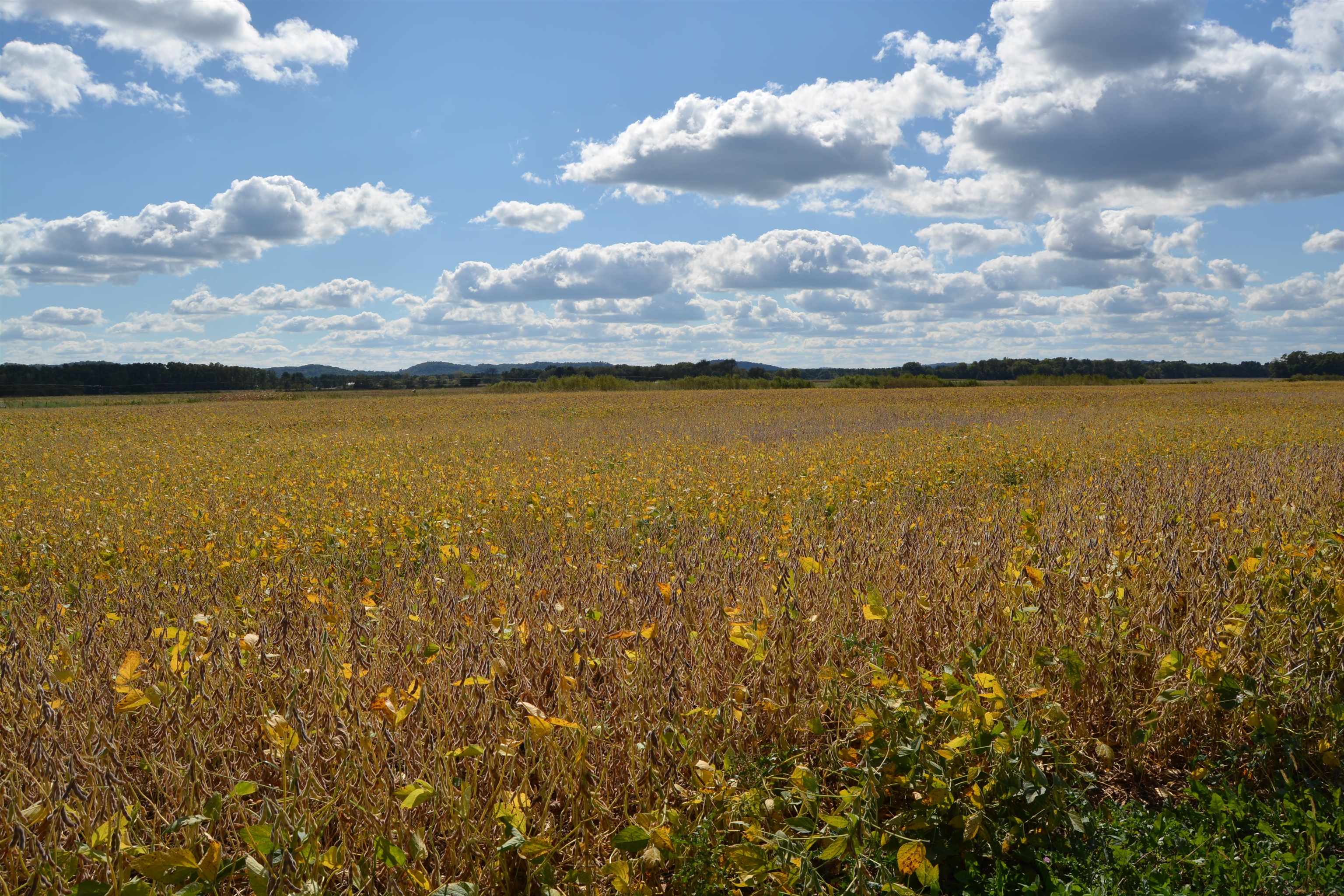 Lot 12 Sommerset Spring Green Spring Green, WI 53588 - Photo 5 of 17
