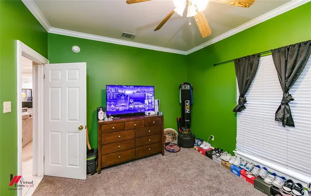 a room with furniture and a potted plant