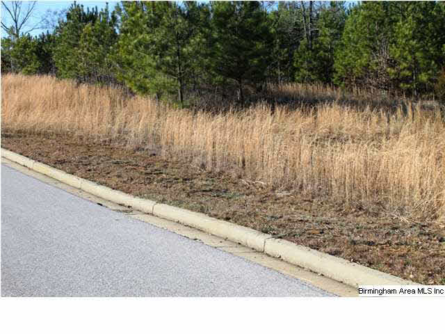 Mount Eagle Lane, Unit 2 Weaver, AL 36277 - Photo 21 of 26