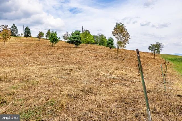 a view of a field with an trees
