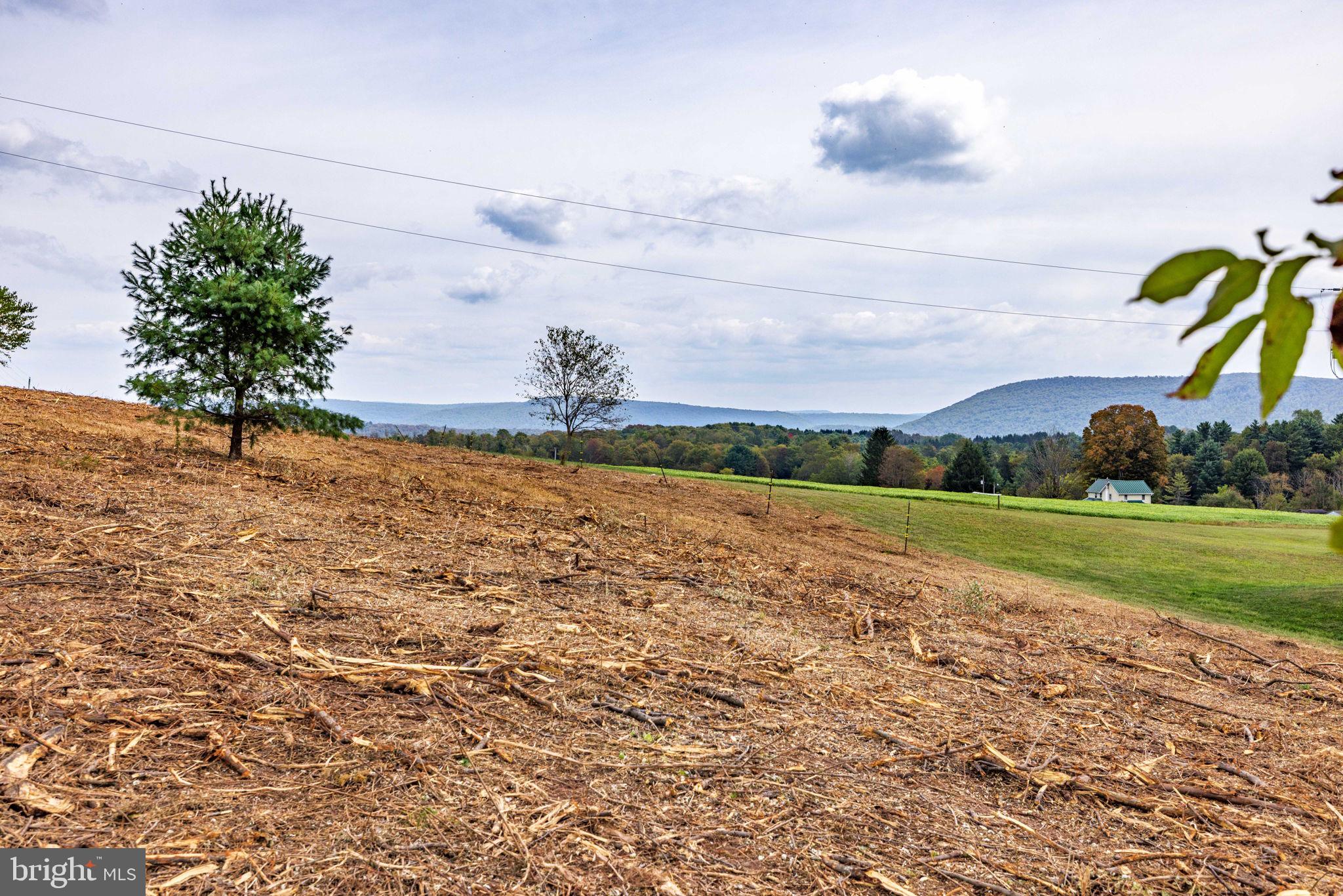 89 Drifty Lane Trout Run, PA 17771 - Photo 12 of 19 a view of a field with an trees