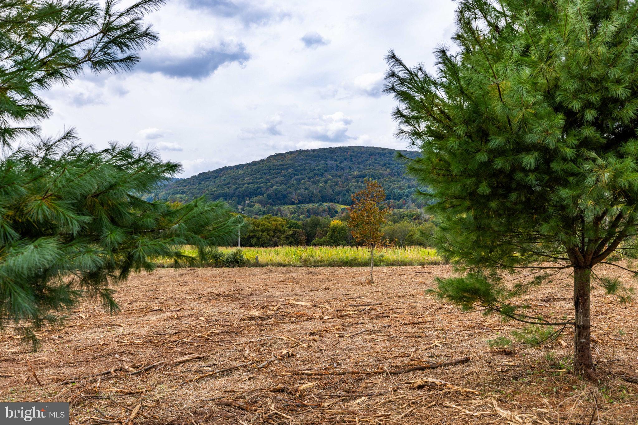 89 Drifty Lane Trout Run, PA 17771 - Photo 13 of 19 a view of a lake with a yard