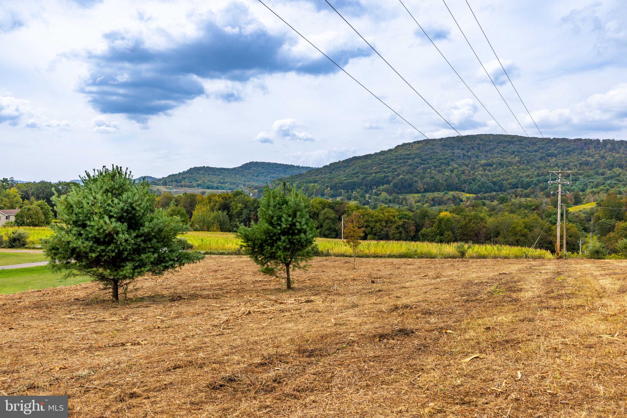 89 Drifty Lane Trout Run, PA 17771 - Photo 15 of 19 a view of an outdoor space and a lake view