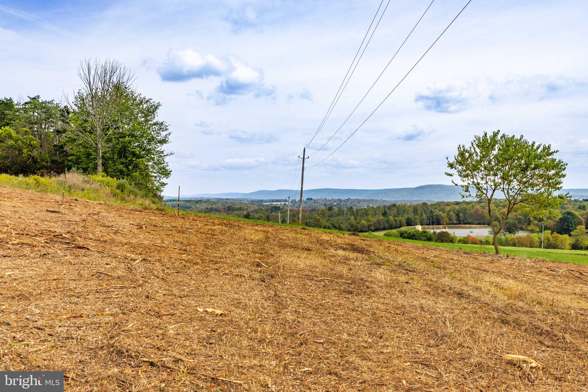 89 Drifty Lane Trout Run, PA 17771 - Photo 16 of 19