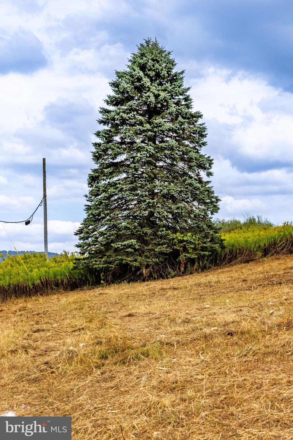 89 Drifty Lane Trout Run, PA 17771 - Photo 18 of 19 a view of lake