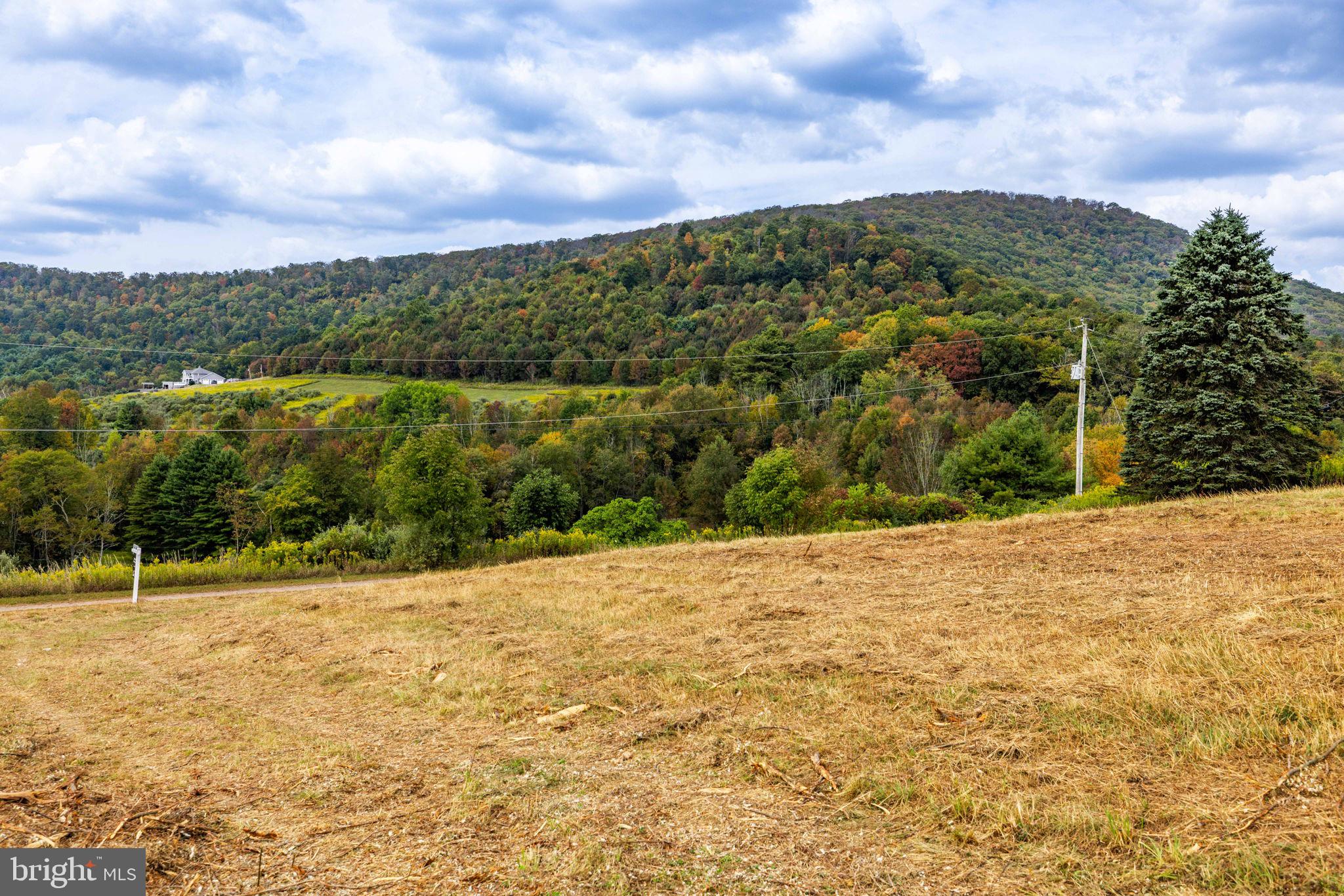 89 Drifty Lane Trout Run, PA 17771 - Photo 8 of 19 a view of a yard with a house