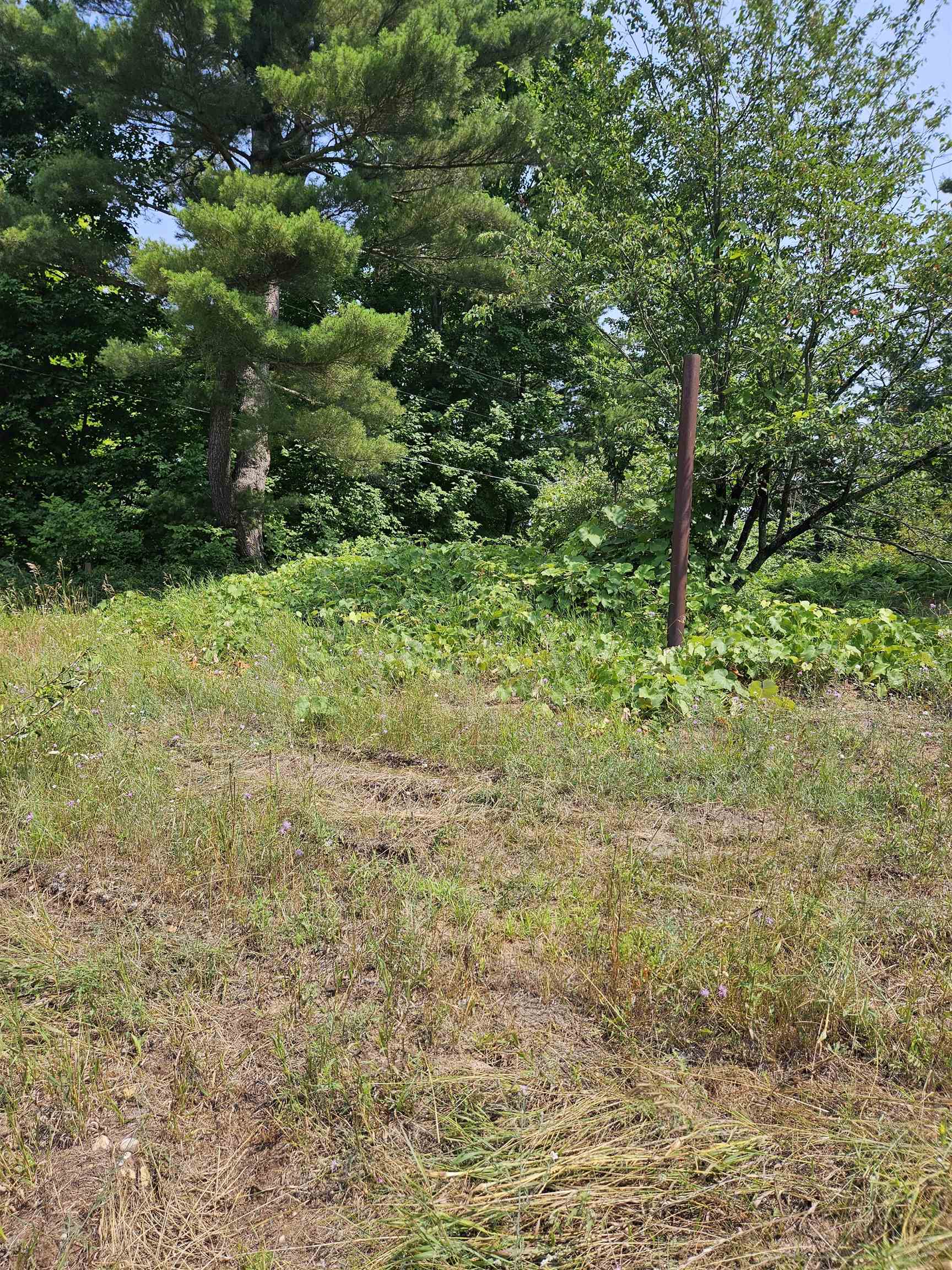 11268 Watson Road Williamsburg, MI 49690 - Photo 12 of 57